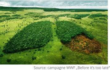 Source: campagne WWF Before its too late